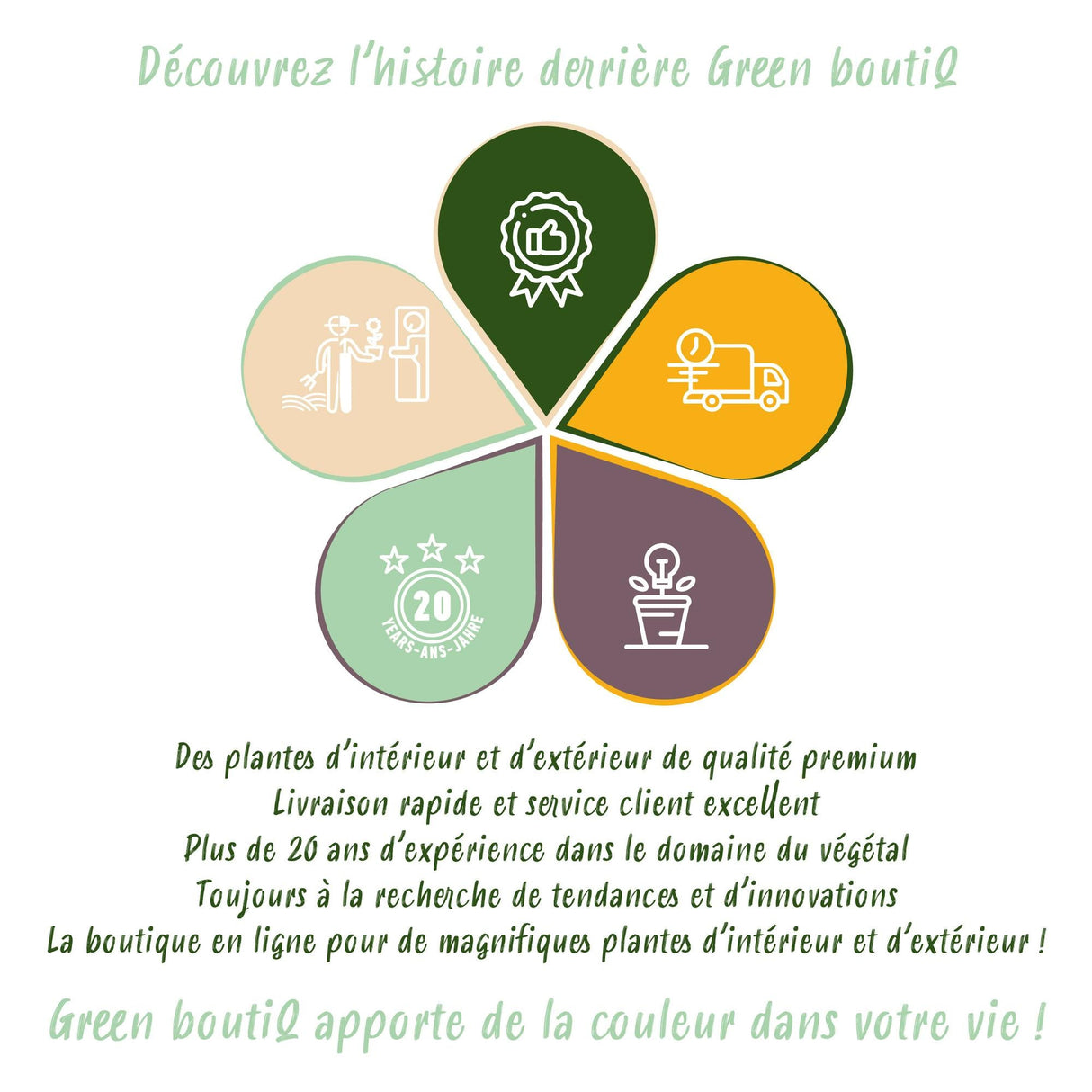 Livraison plante Rosier New Dawn – Lot de 2 – Pot 11 cm – Hauteur 40 cm