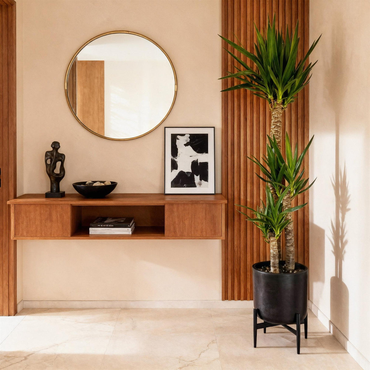 Livraison plante Yucca elephantipes d27cm H170cm