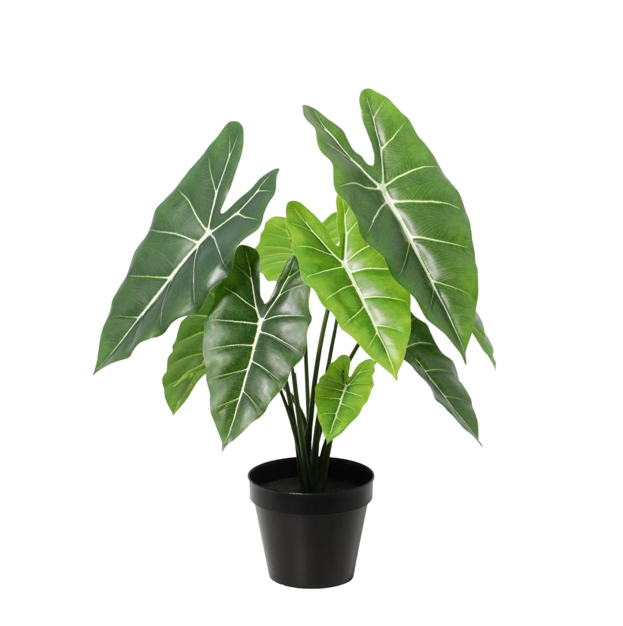 Alocasia Polly plante artificielle