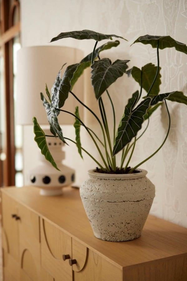 Alocasia plante artificielle