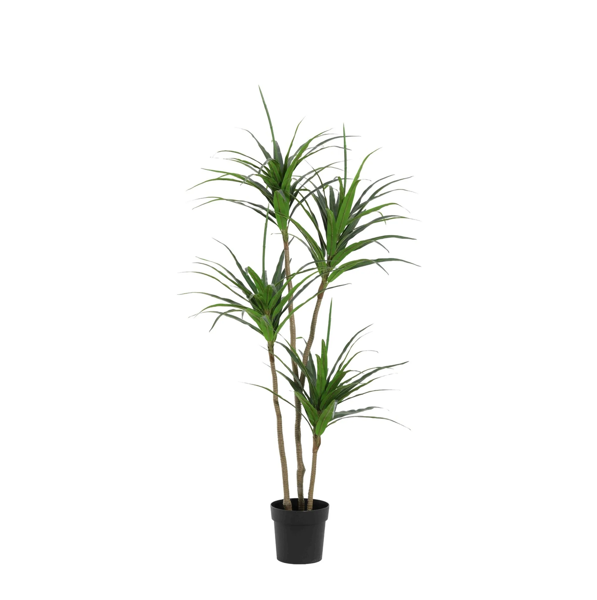 Dracaena Plante plante artificielle