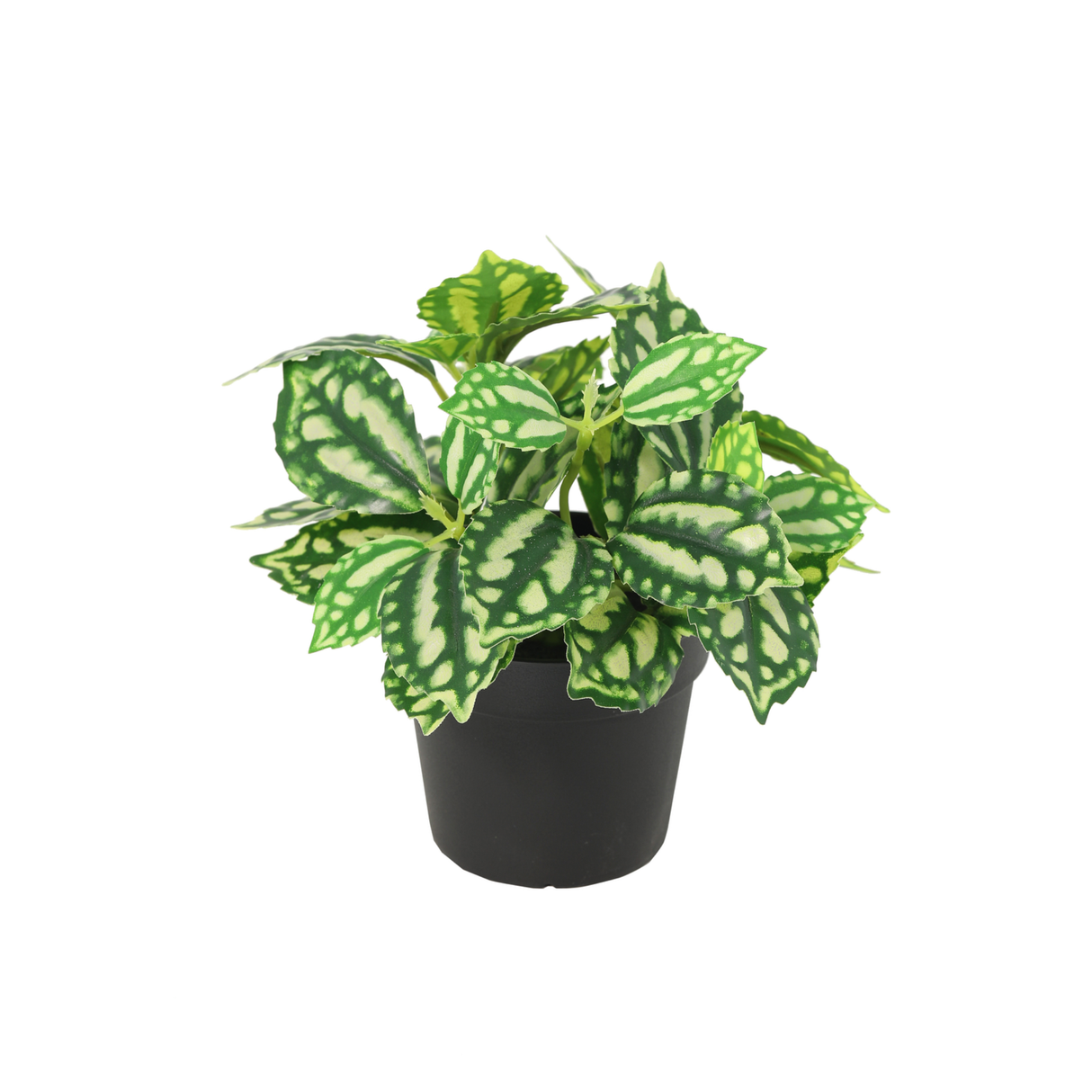 Ice Water plante artificielle