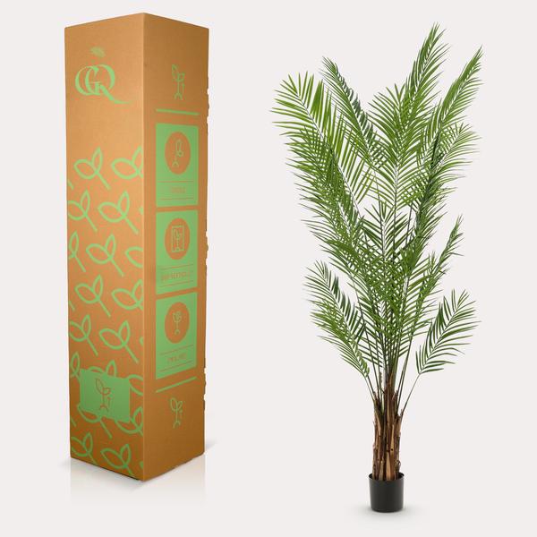 Plantas artísticas - Areca Lutescens - Goudpalm - 240cm