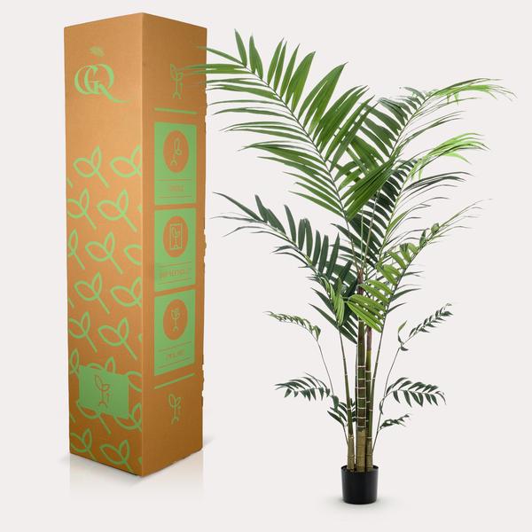 Planta artística - Kentia -Kentiapalm - 210cm