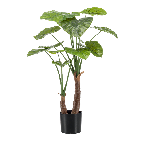 Alocasia plante artificielle
