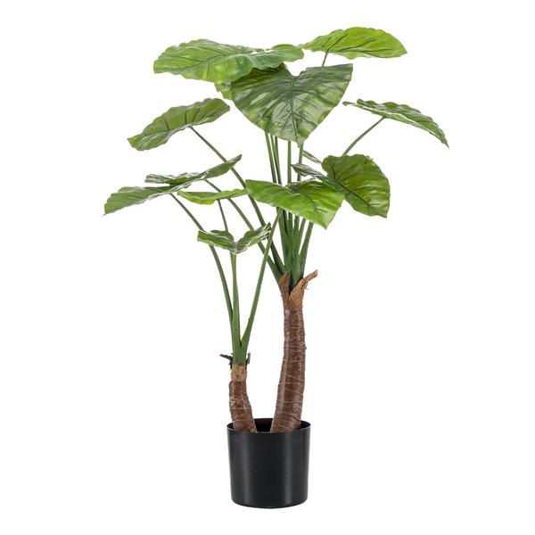 Alocasia plante artificielle