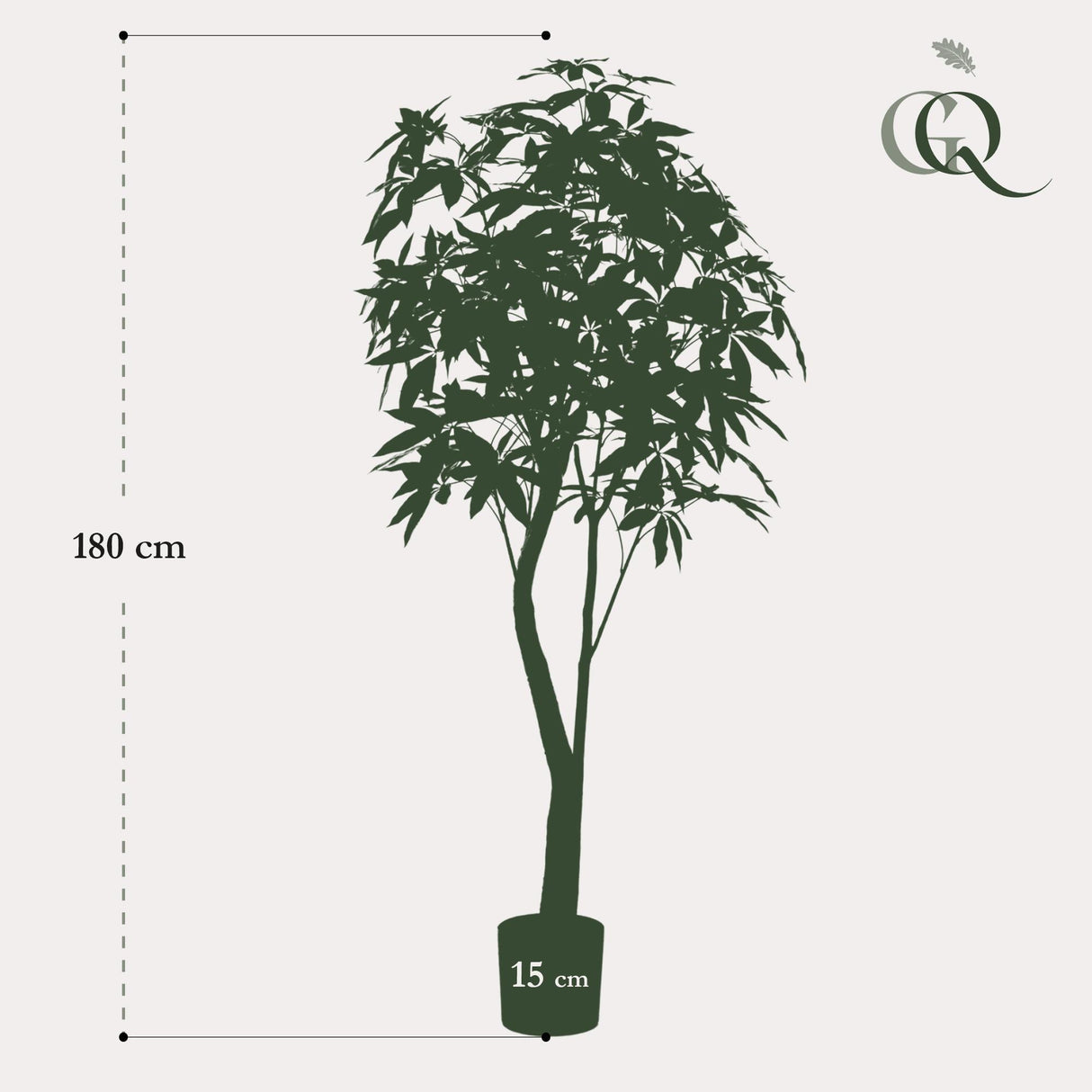 Planta artística - Pachira Aquatica - Geldboom - 180 cm