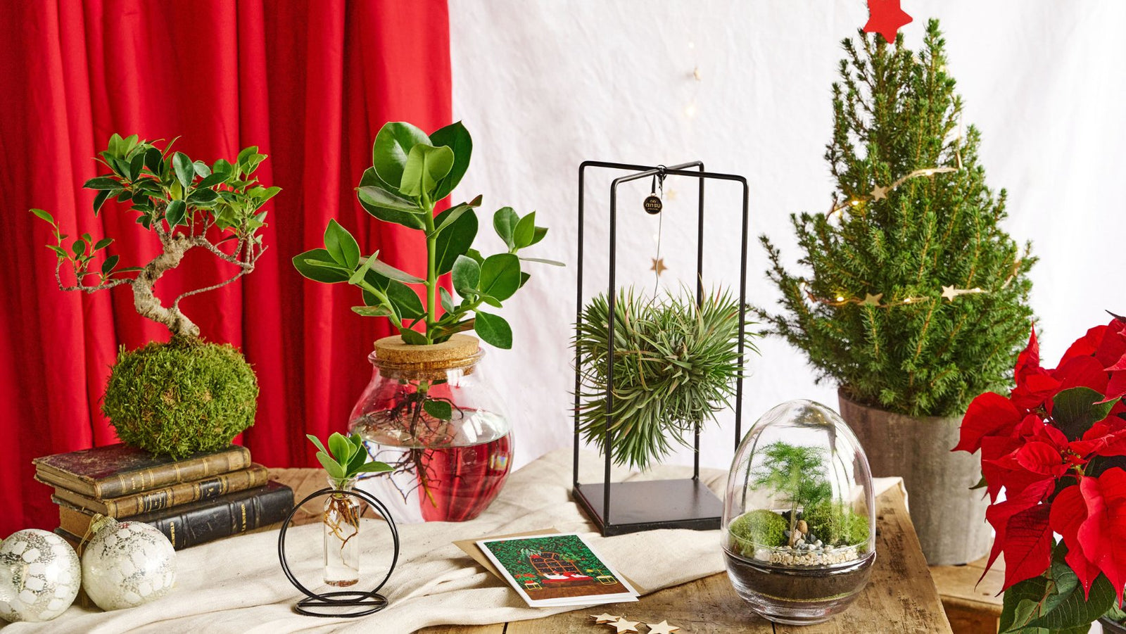 Cadeaux abordables et irrésistibles pour les invités ou en secret santa ! - La Green Touch