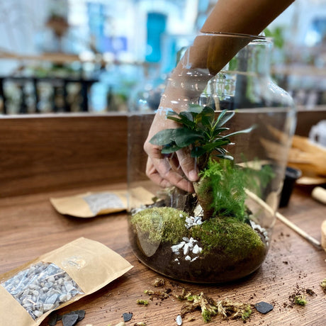 Vidéo DIY : Comment réaliser son terrarium facilement ? - La Green Touch