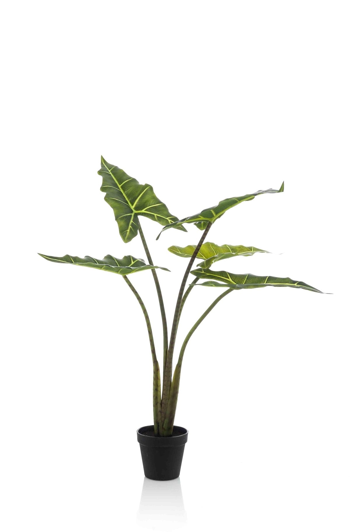 Livraison plante Alocasia artificiel - h80cm, Ø12cm