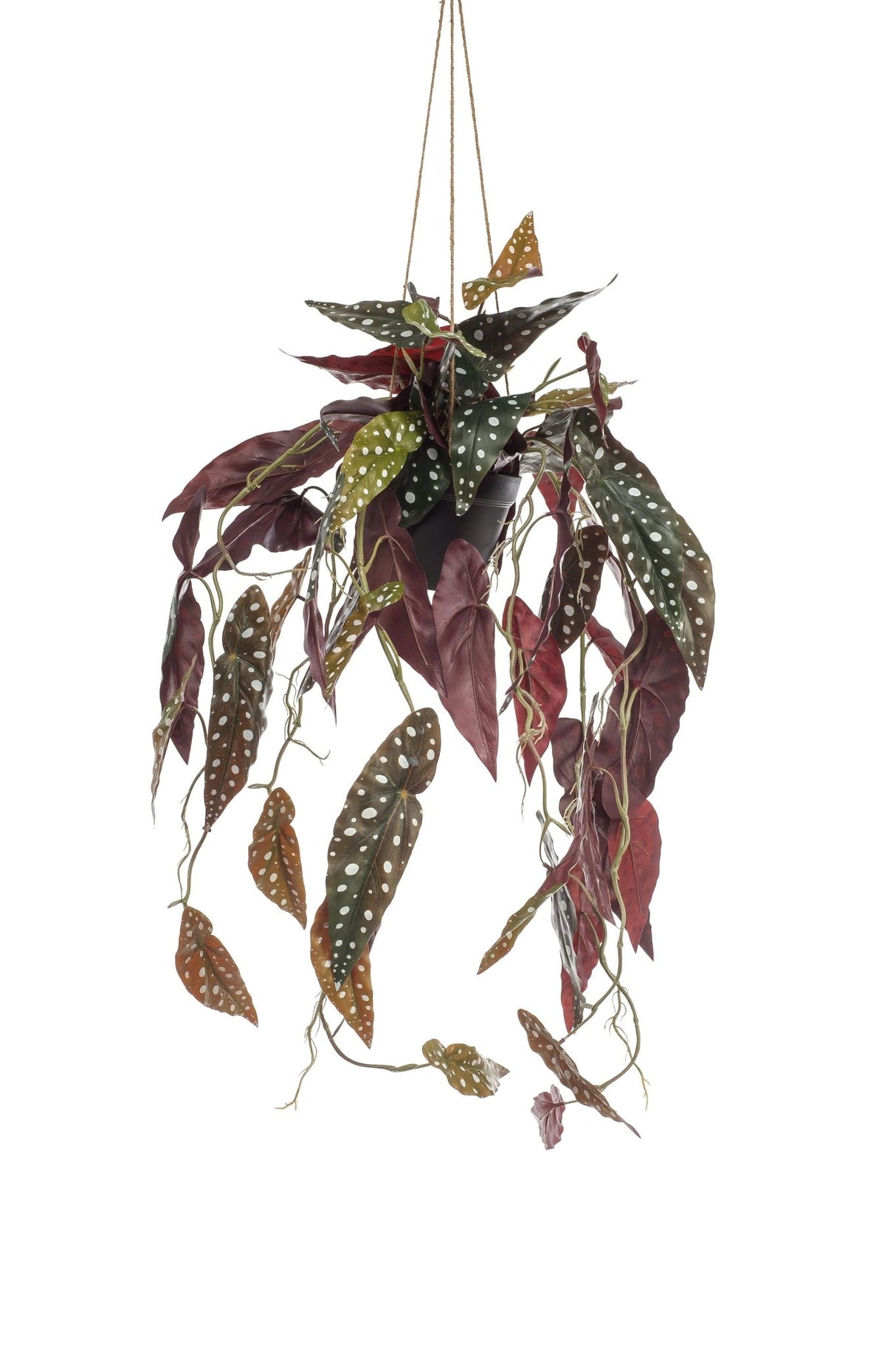 Livraison plante Bégonia Maculata plante artificielle - h80cm, Ø18cm