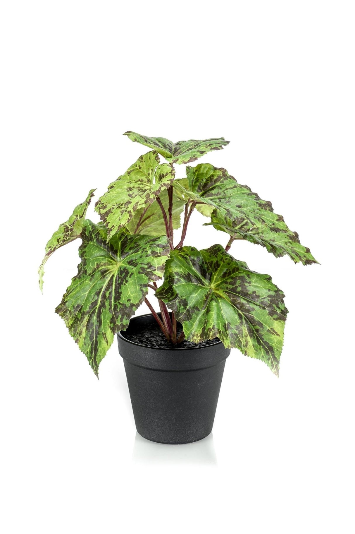 Livraison plante Begonia Rex plante artificielle - h25cm, Ø11cm