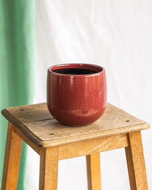 Vaso Bari Borgonha