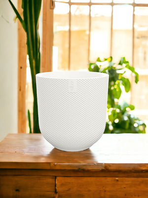 Vaso Elho Jazz Branco - D23 x H21