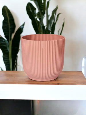 Vaso Elho Rosa - D25 x H23