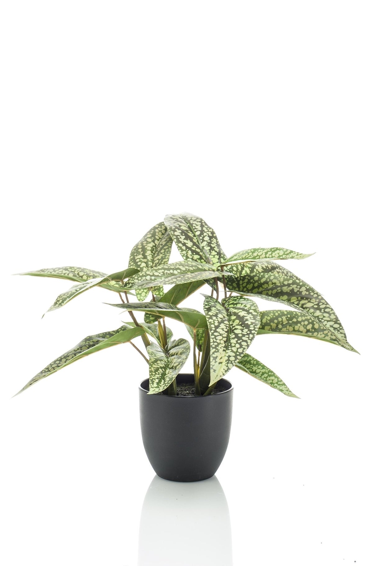 Livraison plante Calathea Dots plante artificielle - h38cm, Ø15cm