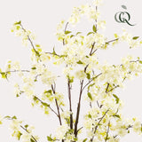 Livraison plante Cerisier artificiel blanc