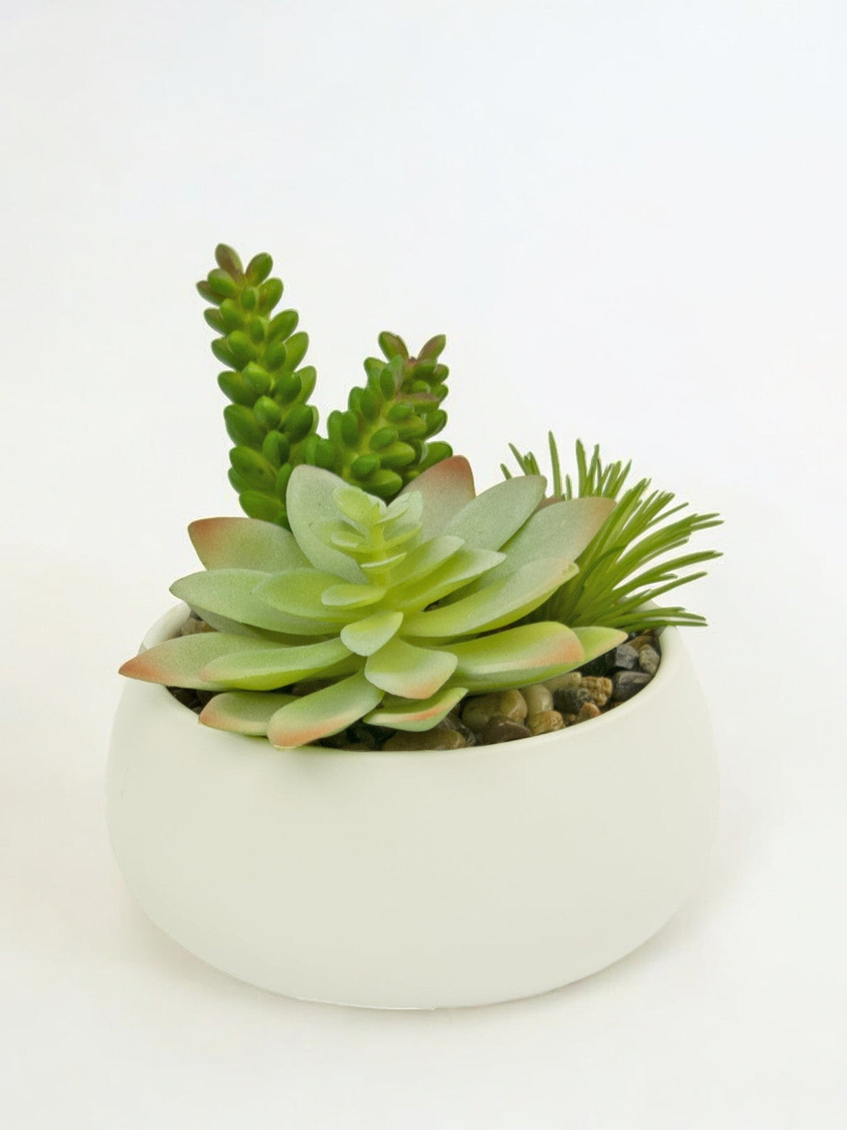 Livraison plante Composition artificielle de succulentes