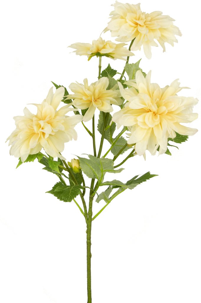 Livraison plante Dahlia crème artificiel