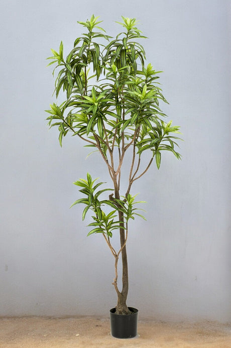 Livraison plante Dracaena plante artificielle - h190cm, Ø17cm