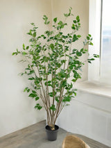 Livraison plante Ficus - Arbre artificiel