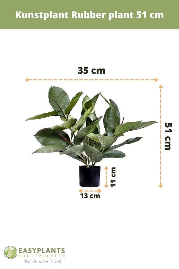 Livraison plante Ficus elastica caoutchouc - Plante verte artificielle