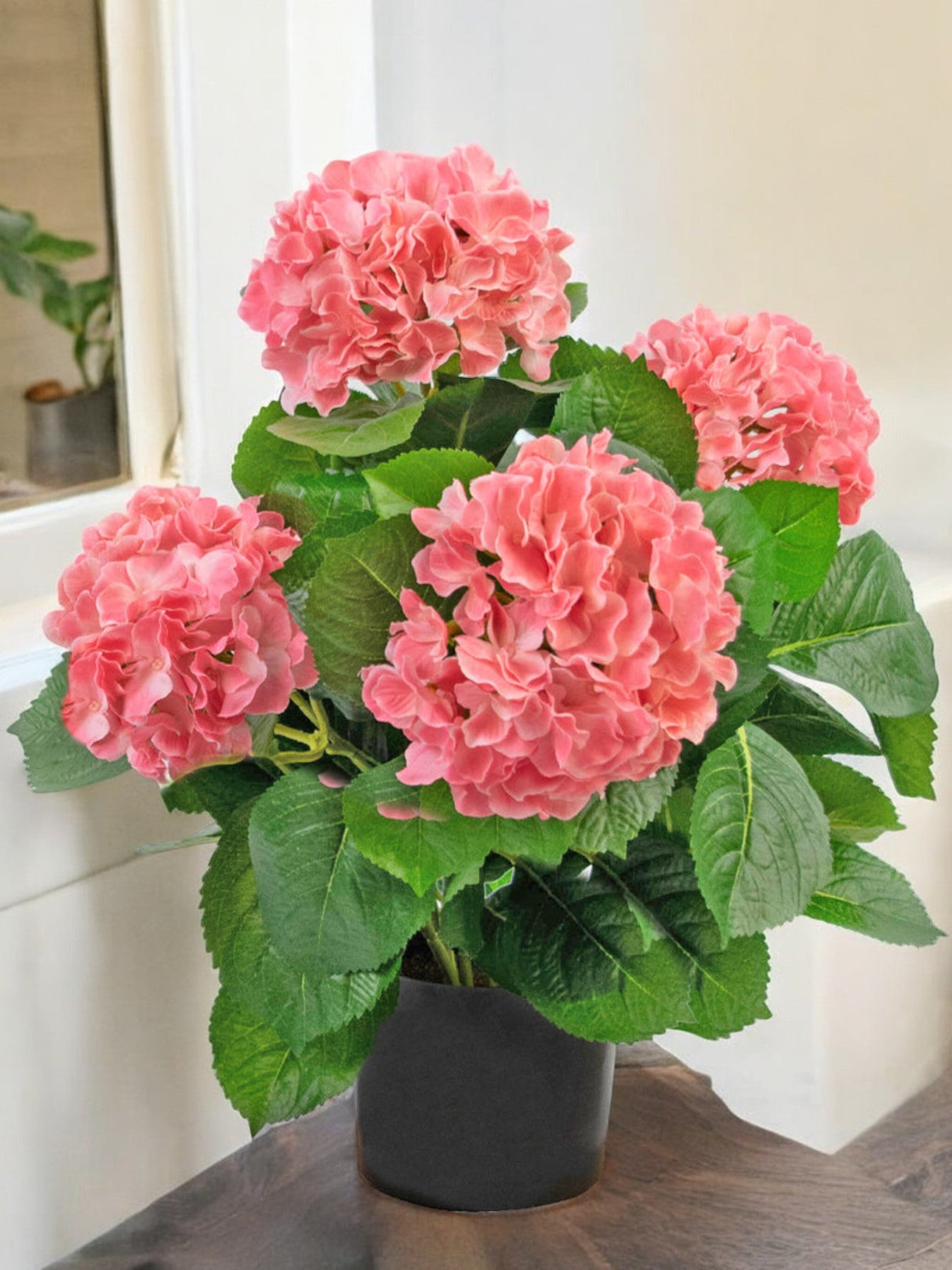 Livraison plante Hortensia Artificiel Blanc