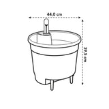 Livraison plante Insert Autonome - 43 cm