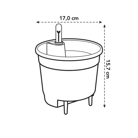 Livraison plante Insertion Auto - irrigante 17 cm