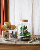 Livraison plante Kit DIY Terrarium - CORTICA & son kit outils