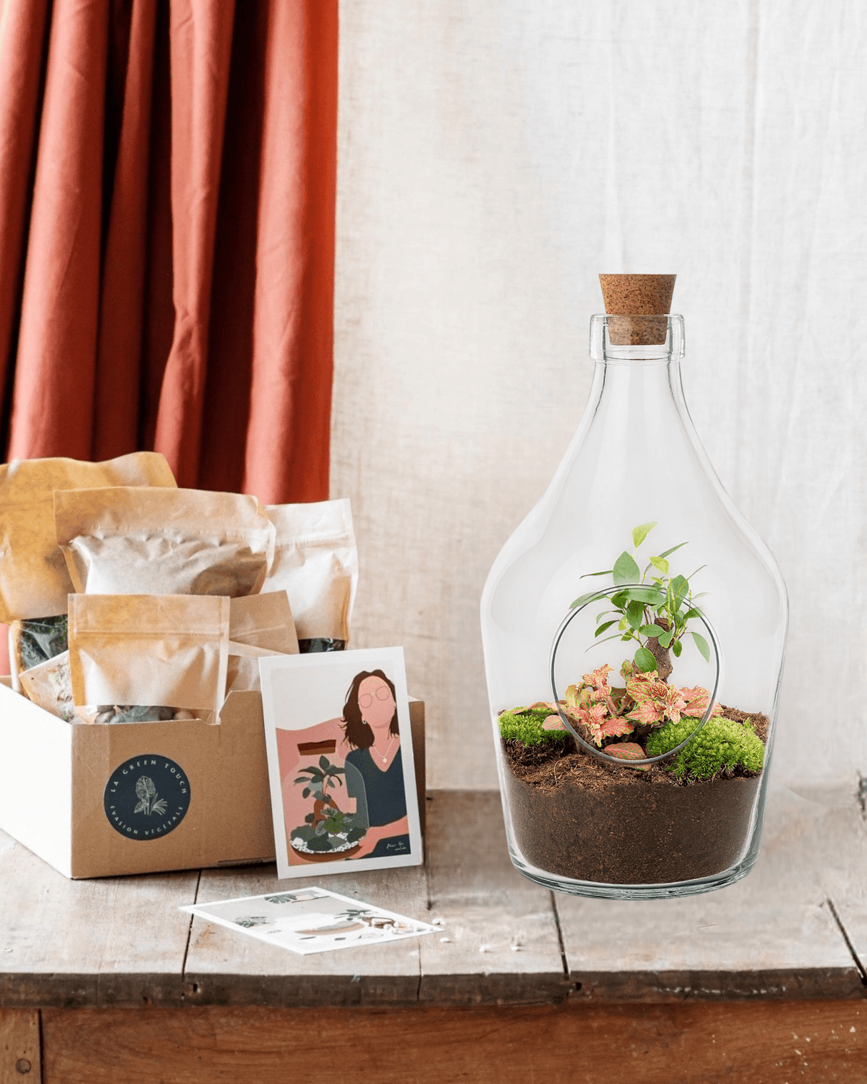Livraison plante Kit Terrarium DIY - JOY