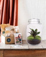 Livraison plante Kit terrarium DIY - OSLO