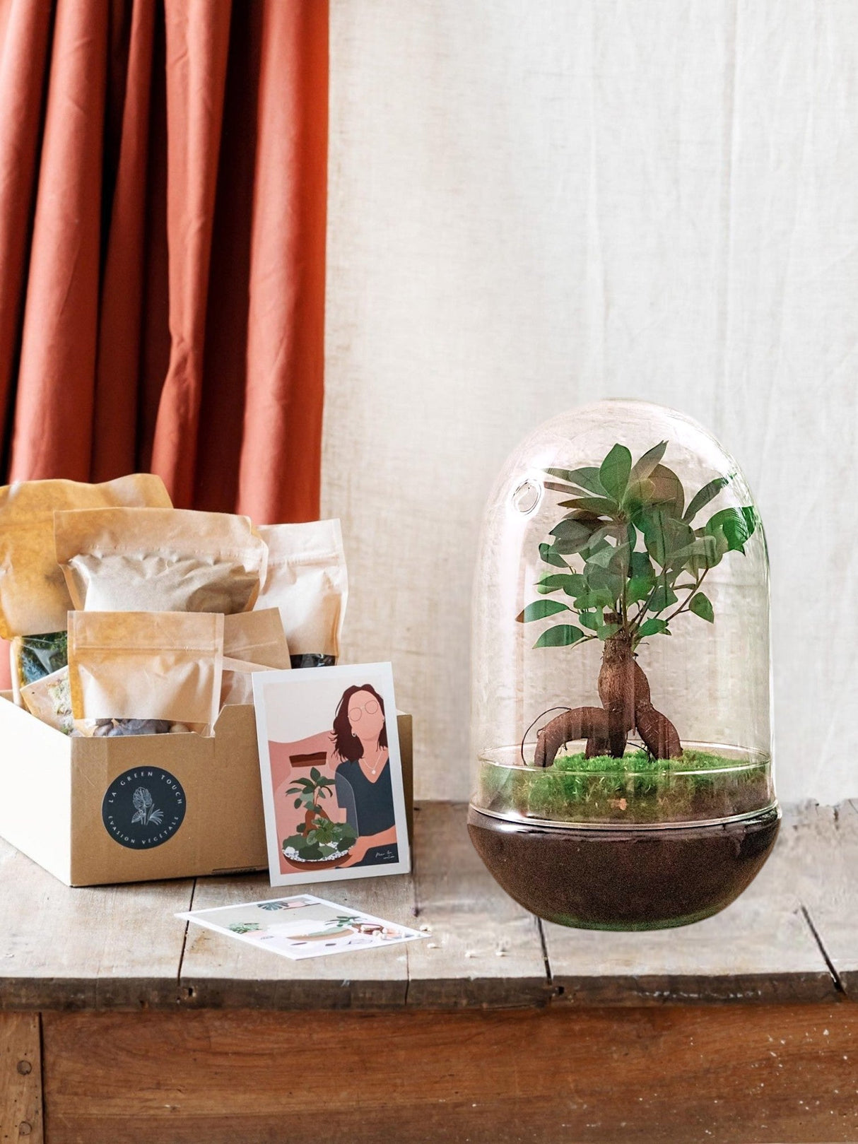 Livraison plante Kit Terrarium DIY - PARIS