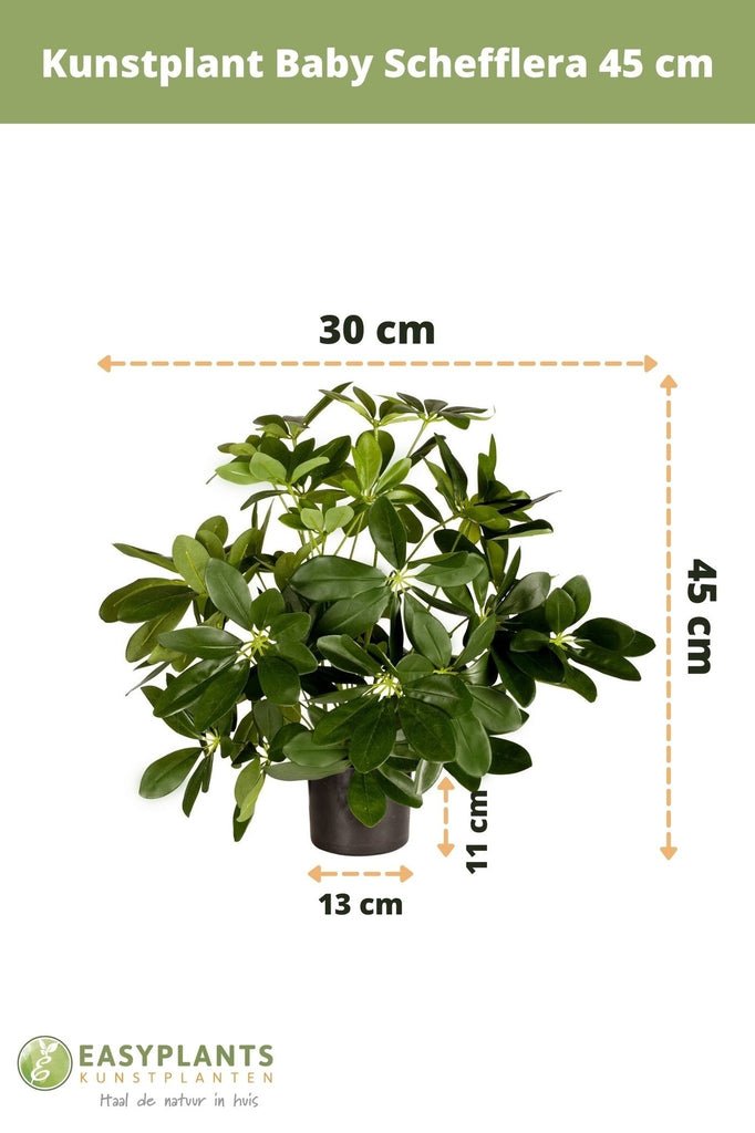 Livraison plante Kunstplant Baby Schefflera 45 cm