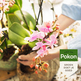 Livraison plante Nutrition Bio pour Orchidées - Alimentation Naturelle