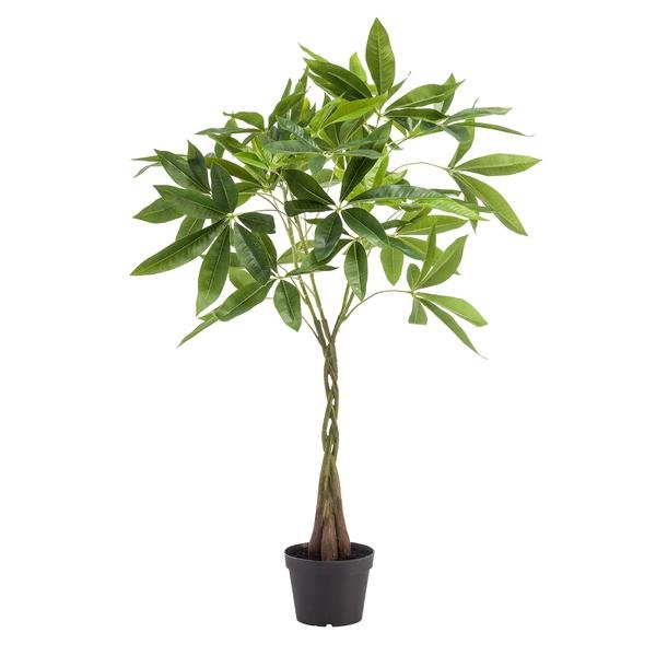 Livraison plante Pachira aquatica artificiel