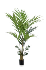 Livraison plante Palmier Kentia plante artificielle - h180cm, Ø15cm