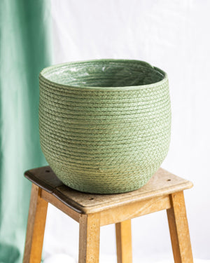 Cesta verde