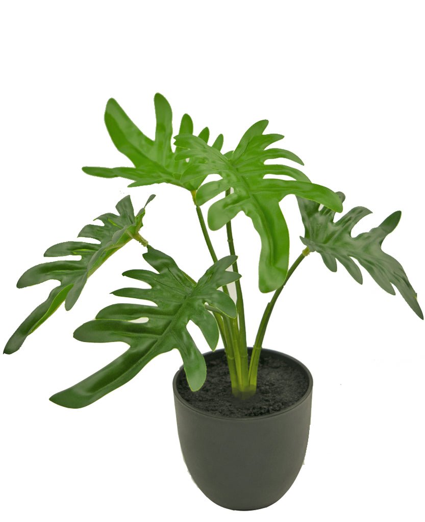 Livraison plante Philodendron xanadu - Plante verte artificielle