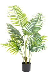 Livraison plante Phoenix - Palmier artificiel