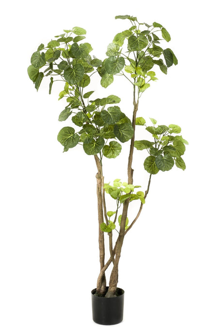 Livraison plante Polyscias plante artificielle - h140cm, Ø14cm