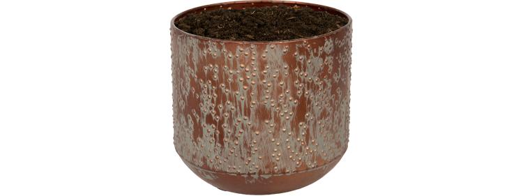 Livraison plante Pot Lian Cuivre Noir 19 cm