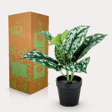 Livraison plante Scindapsus plante artificielle - h30cm, Ø15cm