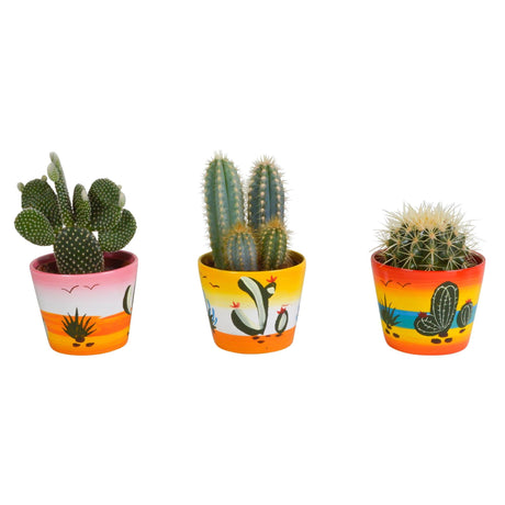 Livraison plante Trio de Cactus en Pot Mexicain Peint à la Main