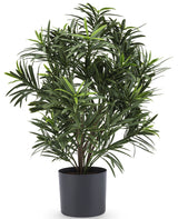 Podocarpus - planta verde artificial