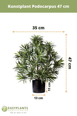 Podocarpus - planta verde artificial