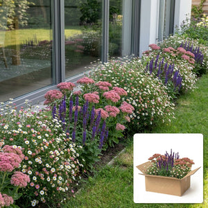 Pack jardin - composition prête à planter