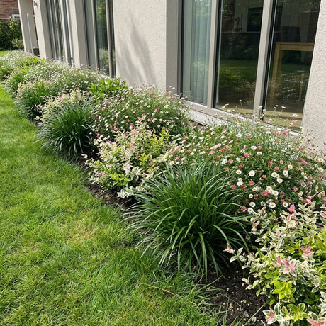 Pack Balcon Soleil & Mi-Ombre Blanc & Vert - 18 plantes — photo 2