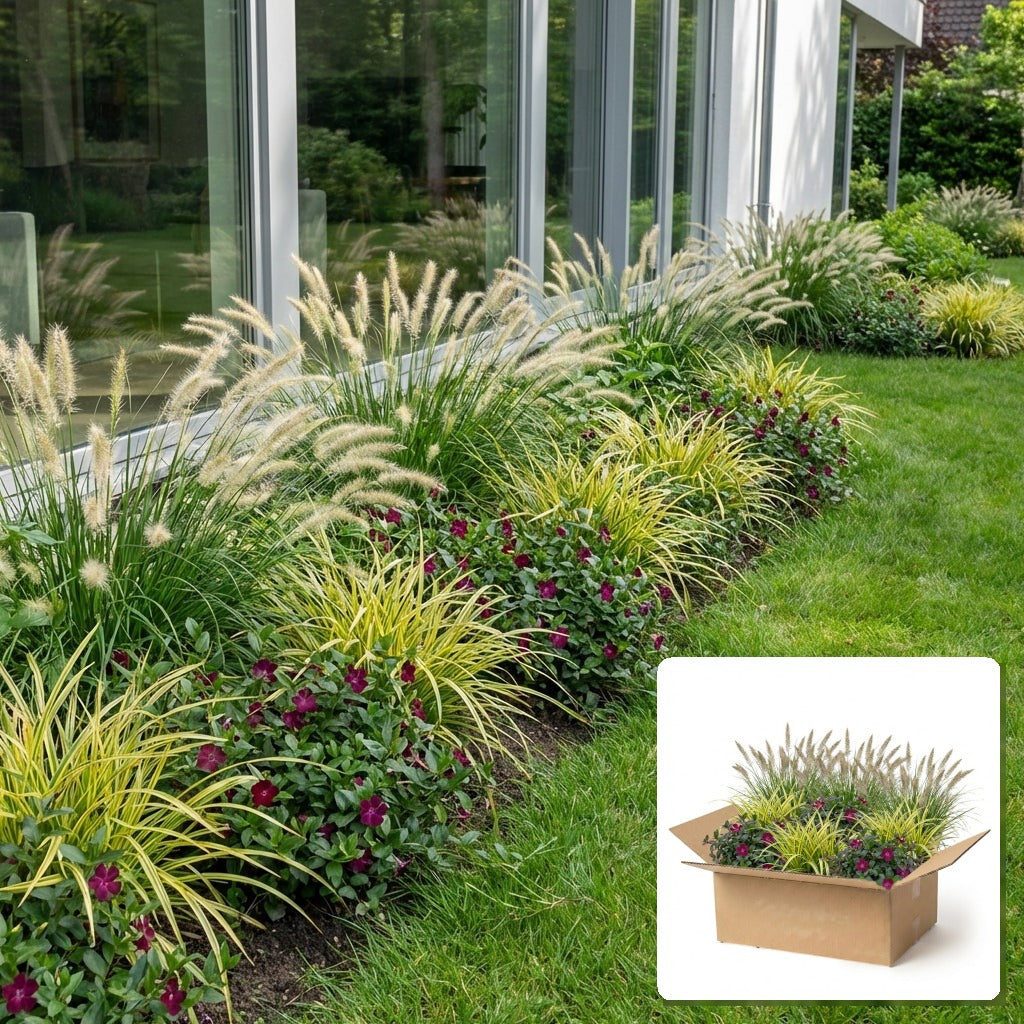 Pack jardin - composition prête à planter