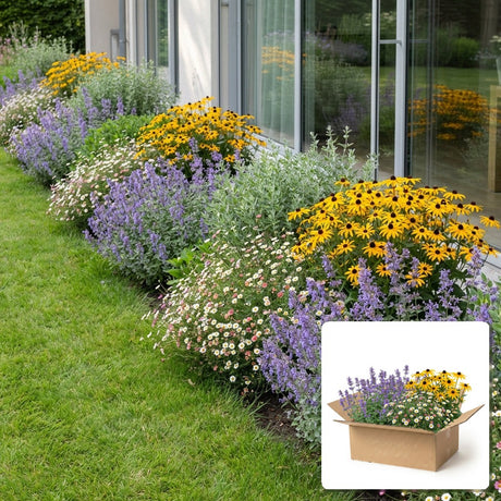 Pack jardin - composition prête à planter